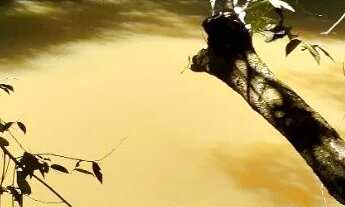 Imagem 2: Chacara caldas novas lagoa quente