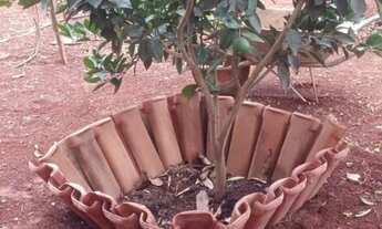 Imagem 3: Chácara Jardim Ingá