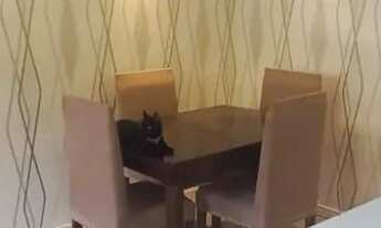 Imagem 7: Apartamento 2 dormitórios à venda Coronel Aparício Borges Porto Alegre/RS