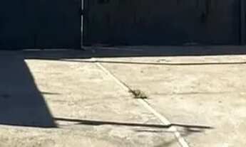 Imagem 11: Ágio Lote Comercial Jardim Canedo III ( Senador Canedo Goias