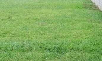 Imagem: Terreno no encantador Fazenda Imperial