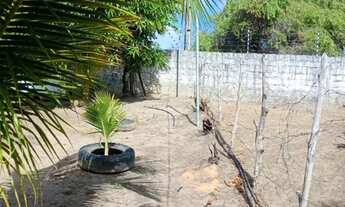 Imagem 6: Casa com árvores e fruteiras