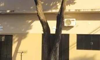 Imagem: Casa à venda em Maringá, Parque Palmeiras