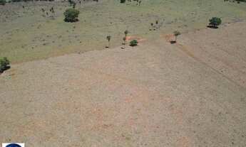 Imagem 5: Fazenda à Venda em Sanclerlândia (GO) 64 Alqueires, Terra Produtiva