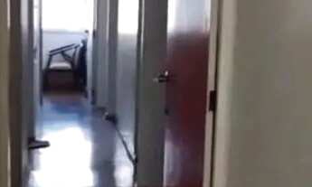 Imagem 4: Sobrado em Rua Marcelino Champagnat - Jardim da Glória - São Paulo/SP