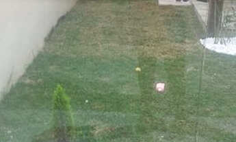 Imagem 2: Alugo Casa em Piraí-2 quartos