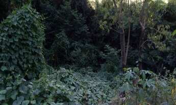 Imagem 7: Sítio.!! st426 Chácara com venda por R$280.000