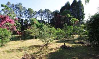 Imagem 6: Sítio com 8 dormitórios à venda, 37000 m² por R$ 1.500.000,00 - Zona Rural - Ibiúna/SP