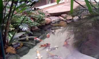 Imagem 5: Venda de Casas / Padrão na cidade de Araraquara