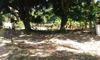 Imagem 4: CHÁCARAS CORNÉLIAS BAURU