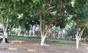 Imagem 5: Casa com 2 dormitórios para alugar, 100 m² por R$ 1.100,00/mês - Riacho Fundo II - Riacho