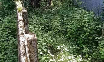 Imagem 4: Terreno em algodoal - Maracanã - Pa