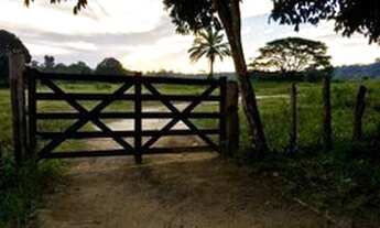 Imagem 7: Fazenda para Venda em Porto Seguro, arraial d ajuda