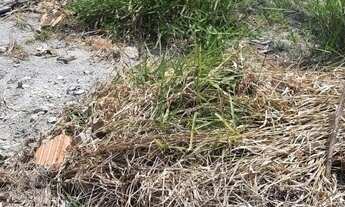 Imagem 4: Terreno À Venda No Ana Cristina