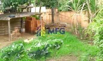 Imagem 2: Terreno Próximo portaria do Granja Olga 3