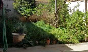 Imagem 6: Casa 03 dormitórios - Bady Bassitt - excelente construção