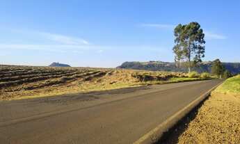 Imagem 4: Fazenda com cana em Santa Maria da Serra