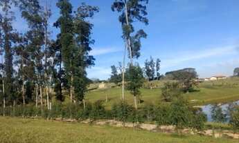 Imagem 5: Fazenda/Sítio/ - Amparo - SP