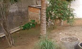 Imagem: Casa - Alugar