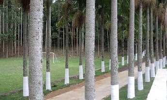 Imagem 6: Sítio à venda, 100000 m² por R$ 1.100.000,00 - Zona Rural - Piedade/SP