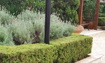 Imagem 4: São Paulo - Apartamento Padrão - Vila Mariana