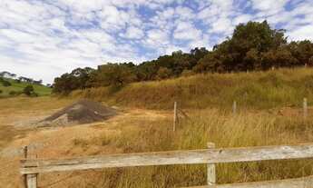 Imagem 2: EXCELENTE LOTE COM 6.500 M² DE AREA TOTAL