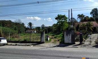 Imagem: Oportunidade de Negócio !! Terreno em Moreira