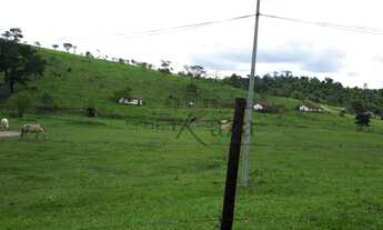 Imagem: Fazenda/Sítio/Chácara para venda possui