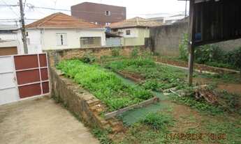 Imagem 3: Terreno - Venda - Vila Progresso - Cod. 2570