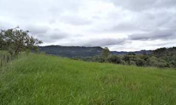 Imagem 4: Fazenda/Sítio/Chácara para venda possui 20,000 metros quadrados em Fazenda Sao Marcos - Bo