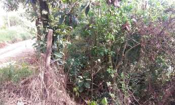 Imagem 4: Lote com 1.130m2 escriturado- R$92 mil no bairro Cidade São Pedro, Santana de Parnaíba