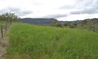 Imagem 3: Fazenda/Sítio/Chácara para venda possui 20,000 metros quadrados em Fazenda Sao Marcos - Bo