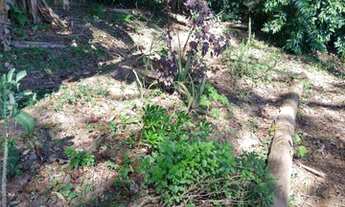 Imagem 7: Chácara em associação de moradores!