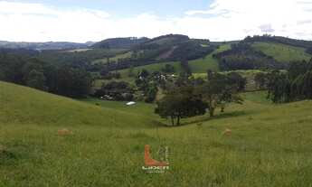 Imagem 7: Sítio com piscina Pinhalzinho