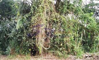 Imagem 3: Terreno para venda - Jardim Santo Antônio Arujá/SP