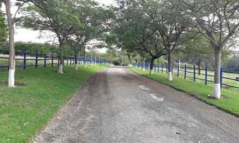 Imagem 2: REF. 336 SITIO DE 8 ALQUEIRES EXCELENTE LOCALIZAÇÃO