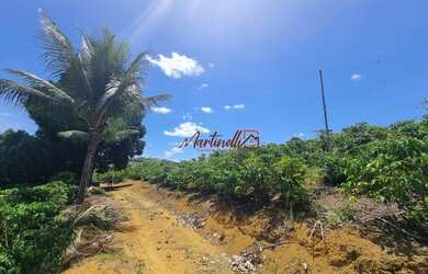 Imagem 7: Chácara, de2.000 a 3.600 metros, de fácil acesso perto da serra próximo ao pedágio da se