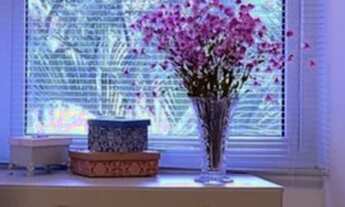 Imagem 4: Apartamento 2 quartos com suite na Gávea