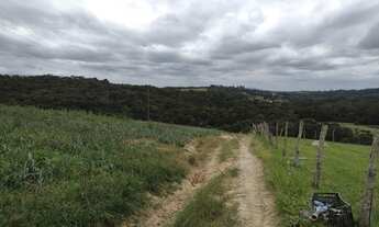 Imagem 5: Fazenda/Sítio/Chácara para venda com 48000 metros quadrados em Bairro dos Leites - Piedade