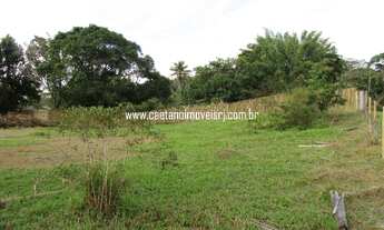 Imagem 3: Terreno de 4.000m² todo plano e gramado - Oportunidade única!