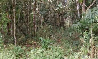 Imagem 4: Terreno com galpão em ipelândia