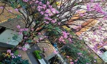 Imagem 3: SÃO JOSÉ DO RIO PRETO - Apartamento Padrão - VILA ITÁLIA