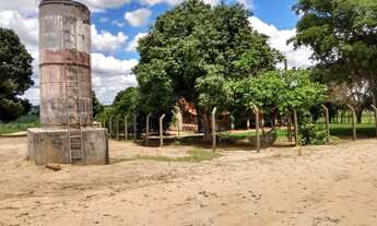 Imagem 5: Lote/Terreno para venda possui 180000 metros quadrados com 1 quarto em Centro - Cajuru - S