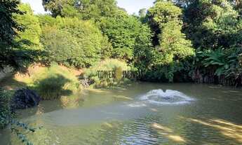 Imagem 6: Terreno - Pinheiro - Valinhos