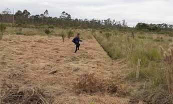 Imagem 2: Lote/Terreno para venda possui 1050 metros quadrados em Vila Ipiranga - Mogi das Cruzes
