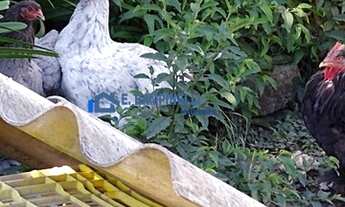 Imagem 4: MARAVILHOSO SITIO EM TAPIRAÍ ACEITA PERMUTA POR IMOVEL OU CARRO ATÉ 30