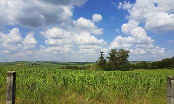 Imagem 7: PIRACICABA - Terreno Padrão - Campestre