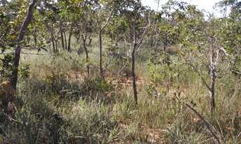 Imagem 6: Terreno de 25 hectares em Curvelo