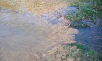 Imagem 7: Linda fazenda na agricultura em Taquarituba - SP