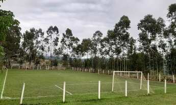 Imagem 4: LINDA CHÁCARA EM GOIANAZES CAPETINGA-MG